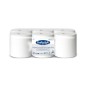 BOBINE DEVIDAGE CENTRAL 450F PURE OUATE BLANCHE 19x30 2 PLIS ECOLABEL X6 BOBINE DEVIDAGE CENTRAL 450F PURE OUATE BLANCHE 19x30 2 PLIS ECOLABEL X6