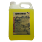 DESODIS CITRON VERT 5L