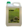 Nettoyant écologique pour les vitres et les écrans ecodétergent Ecocert en 5 litres