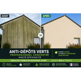Traitement façade maison avec Algiva avant/après