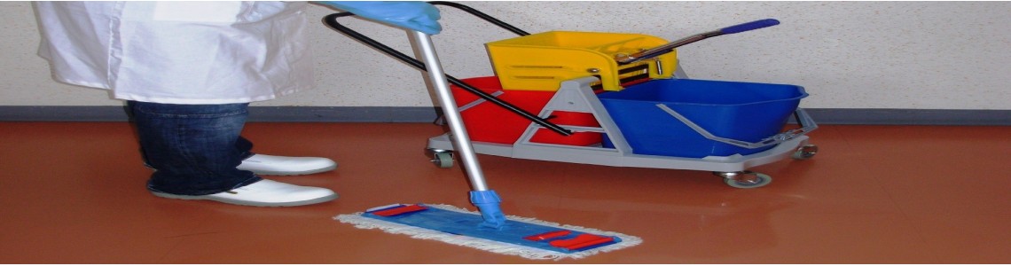 Articles de nettoyage professionnels